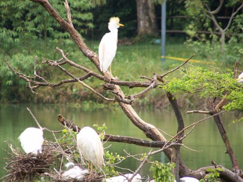 Fotografia de Makamoro - Galeria Fotografica: natural mente - Foto: 