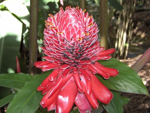 Fotografia de Makamoro - Galeria Fotografica: natural mente - Foto: 