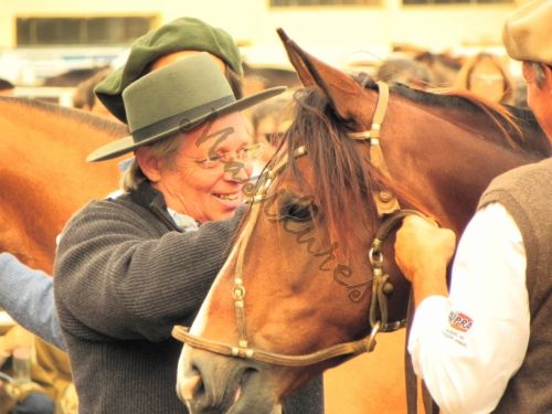 Fotografia de Masilures - Galeria Fotografica: Criollos - Foto: 