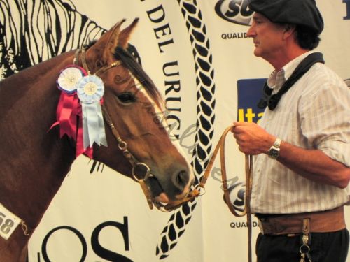 Fotografia de Masilures - Galeria Fotografica: Criollos - Foto: 