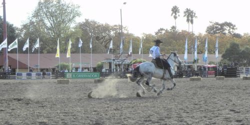 Fotografia de Masilures - Galeria Fotografica: Criollos - Foto: 