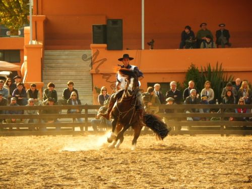 Fotografia de Masilures - Galeria Fotografica: Criollos - Foto: 