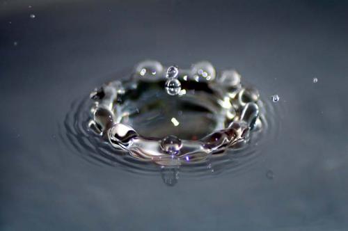 Fotografia de NIQUI - Galeria Fotografica: Gotas de Agua - Foto: Gota Musical