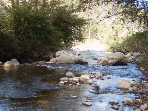 Fotografia de matbboy - Galeria Fotografica: fotos de mis salidas a campos - Foto: rio