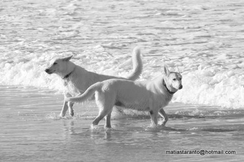 Fotografia de MATHIUS - Galeria Fotografica: A - Foto: 