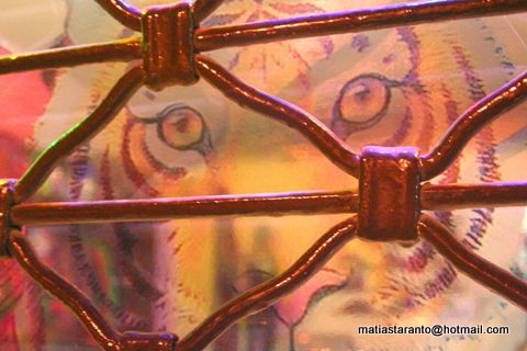 Fotografia de MATHIUS - Galeria Fotografica: A - Foto: 