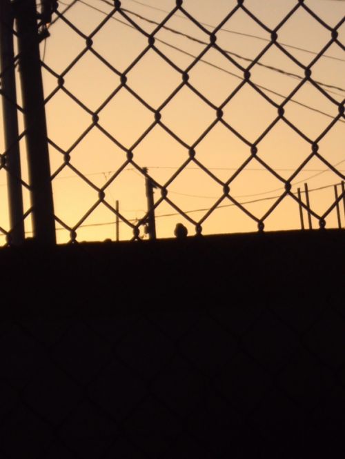 Fotografia de Andrew - Galeria Fotografica: Mexicali - Foto: 