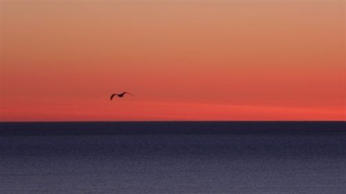 Fotografia de Andrew - Galeria Fotografica: Mexicali - Foto: 