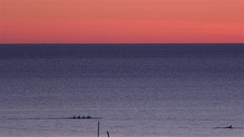 Fotografia de Andrew - Galeria Fotografica: Mexicali - Foto: 