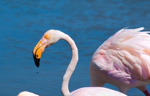 Fotografia de joana roch - Galeria Fotografica: Coses - Foto: 