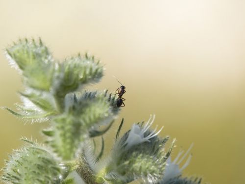 Fotografia de joana roch - Galeria Fotografica: Coses - Foto: 