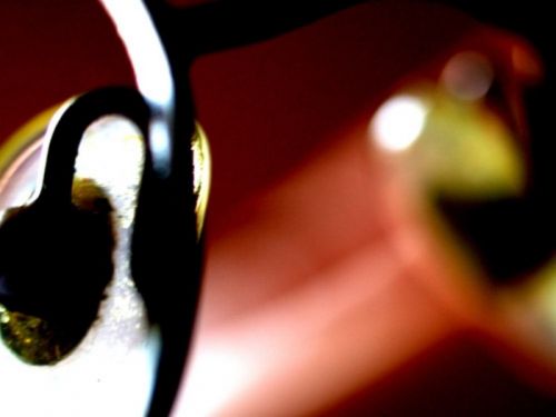 Fotografia de joana roch - Galeria Fotografica: Coses - Foto: 