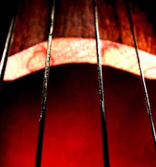 Fotografia de joana roch - Galeria Fotografica: Coses - Foto: 