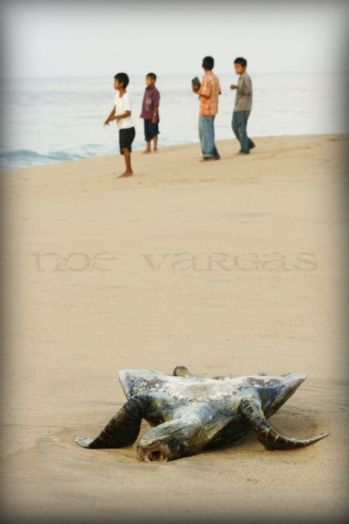 Fotografia de No Vargas - Galeria Fotografica: Documental - Foto: 