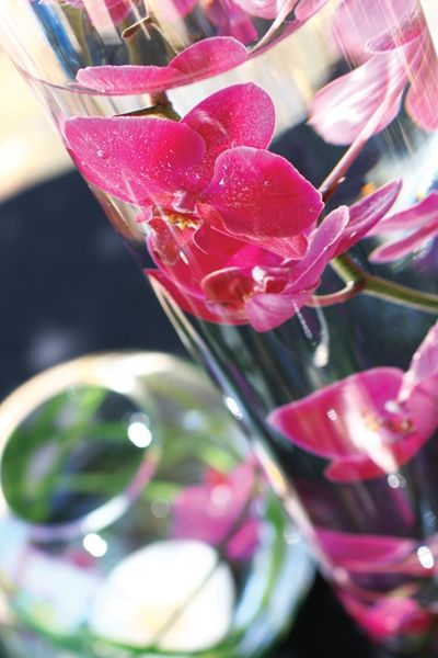 Fotografia de lorenzo cerrina fotografa - Galeria Fotografica: Producto - Foto: Decoracin