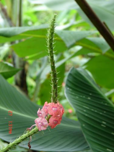 Fotografia de Pablo - Galeria Fotografica: PERSONALES - Foto: Bellezas de mi pais