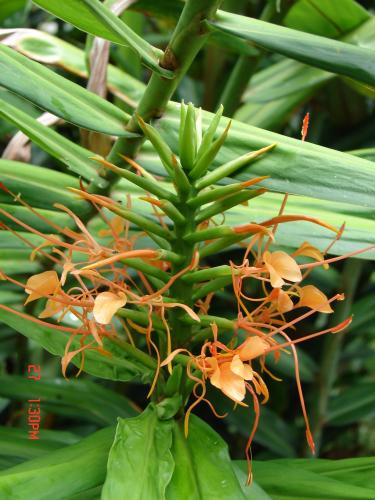 Fotografia de Pablo - Galeria Fotografica: PERSONALES - Foto: 