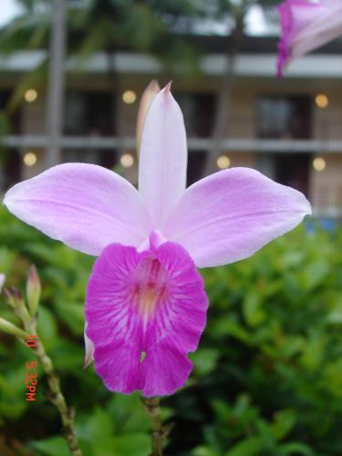 Fotografia de Pablo - Galeria Fotografica: PERSONALES - Foto: Bellezas de mi pais