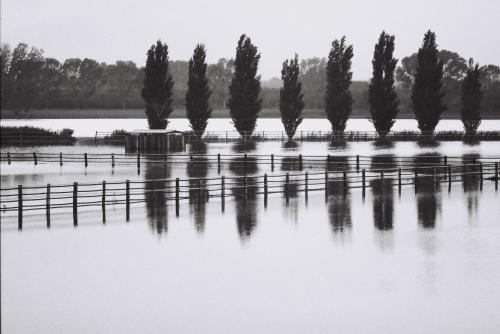 Fotografia de dolors gibert - Galeria Fotografica: artistica - Foto: 