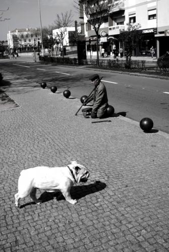 Fotografia de kaskais - Galeria Fotografica: Looks - Foto: Buld