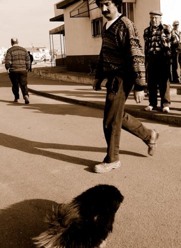 Fotografia de kaskais - Galeria Fotografica: Looks - Foto: Dogslife