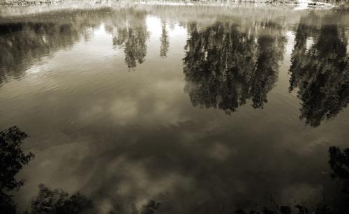 Fotografia de Virgilio - Galeria Fotografica: Paisajes - Foto: Reflejos