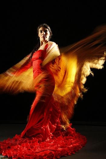 Fotografia de Tala Press Service - Galeria Fotografica: Flamenco 1 - Foto: 