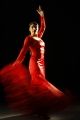 Foto de  Tala Press Service - Galería: Flamenco 1 - Fotografía: 