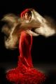 Fotos de Tala Press Service -  Foto: Flamenco 1 - 
