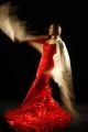 Foto de  Tala Press Service - Galería: Flamenco 1 - Fotografía: 