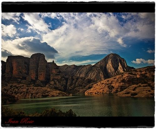 Fotografia de Ivan Rose - Galeria Fotografica: Garden of Roses - Foto: 