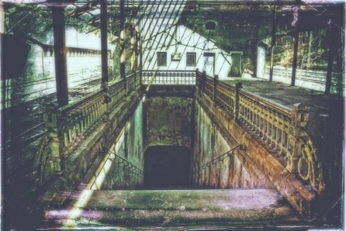 Fotografia de Ivan Rose - Galeria Fotografica: Garden of Roses - Foto: 