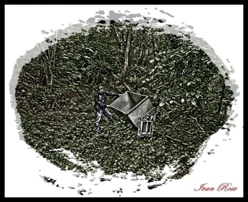 Fotografia de Ivan Rose - Galeria Fotografica: Garden of Roses - Foto: 