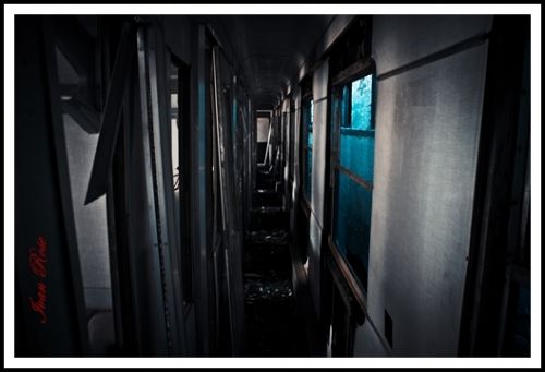 Fotografia de Ivan Rose - Galeria Fotografica: Garden of Roses - Foto: 