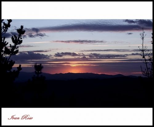 Fotografia de Ivan Rose - Galeria Fotografica: Garden of Roses - Foto: 