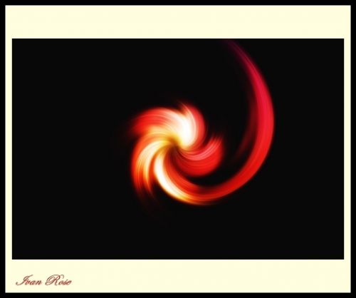 Fotografia de Ivan Rose - Galeria Fotografica: Garden of Roses - Foto: 