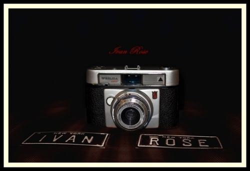 Fotografia de Ivan Rose - Galeria Fotografica: Garden of Roses - Foto: 