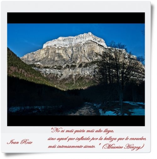 Fotografia de Ivan Rose - Galeria Fotografica: Garden of Roses - Foto: 