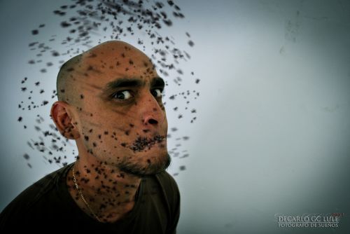 Fotografia de Fotgrafo de Sueos - Galeria Fotografica: A buen entendedor pocas palabras - Foto: En boca cerrada no entran moscas