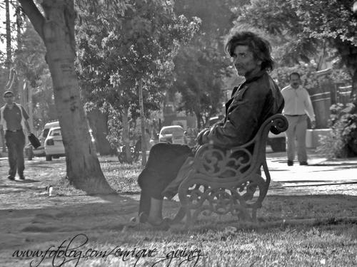 Fotografia de enriqueguinez - Galeria Fotografica: vagabundos - Foto: Que piensa?
