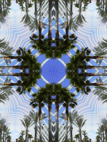 Fotografia de carlos - Galeria Fotografica: catadiotricas - Foto: palmeras