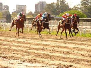 Fotografia de Javier Ierino - Galeria Fotografica: Cosas de Buenos Aires - Foto: 