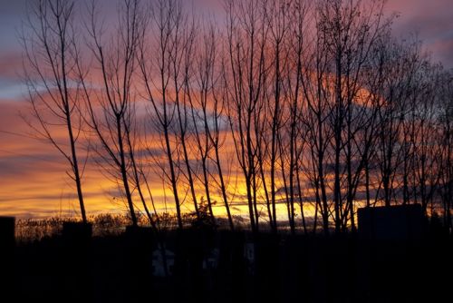 Fotografia de Ditalco13 - Galeria Fotografica: Atardecer granadido - Foto: 