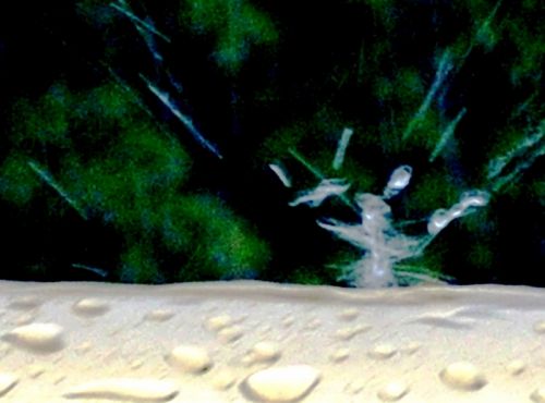Fotografia de Romain Rebiard - Galeria Fotografica: Pintura de lluvia - Foto: Caballero de gota