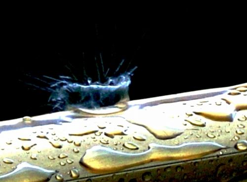 Fotografia de Romain Rebiard - Galeria Fotografica: Pintura de lluvia - Foto: Splashing instant