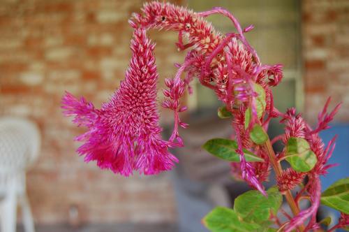 Fotografia de Eduardo Vera Tlaloc - Galeria Fotografica: Fotos Recientes Eduardo Vera - Foto: Estrenando