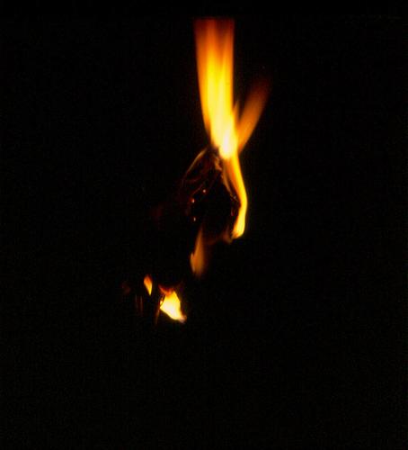 Fotografia de Pedro Alcantar - Galeria Fotografica: El Amor quema - Foto: Pasin que se apaga