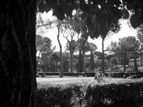 Fotografia de Luis Eliezer - Galeria Fotografica: Viajes - Foto: Parque del Zoo (Roma)