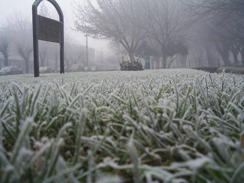 Fotografia de freak - Galeria Fotografica: [los frios climas de los anegeles, chile] - Foto: en las cercanias de la udec