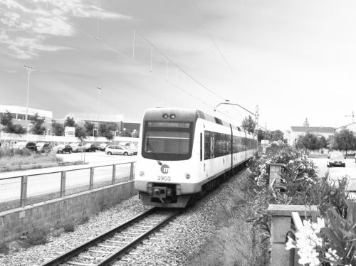 Fotografia de Pepo - Galeria Fotografica: Pepo - Foto: Foios